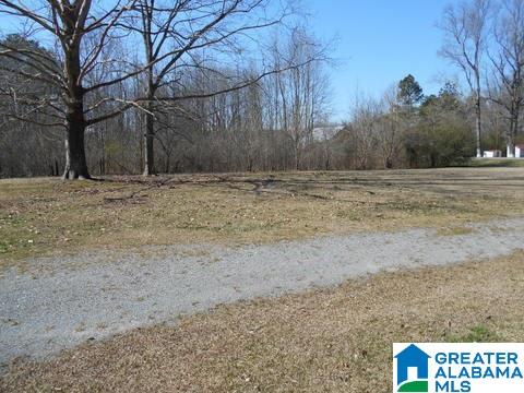 5464 Highway 57 Oneonta Al Vincent, AL 35178 - Photo 10 of 10