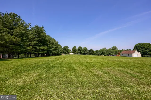a view of a field with grass and trees