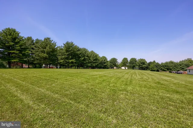a view of a field with an ocean