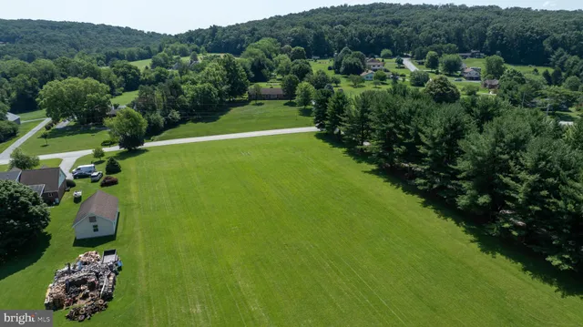 a view of a bunch of trees and bushes