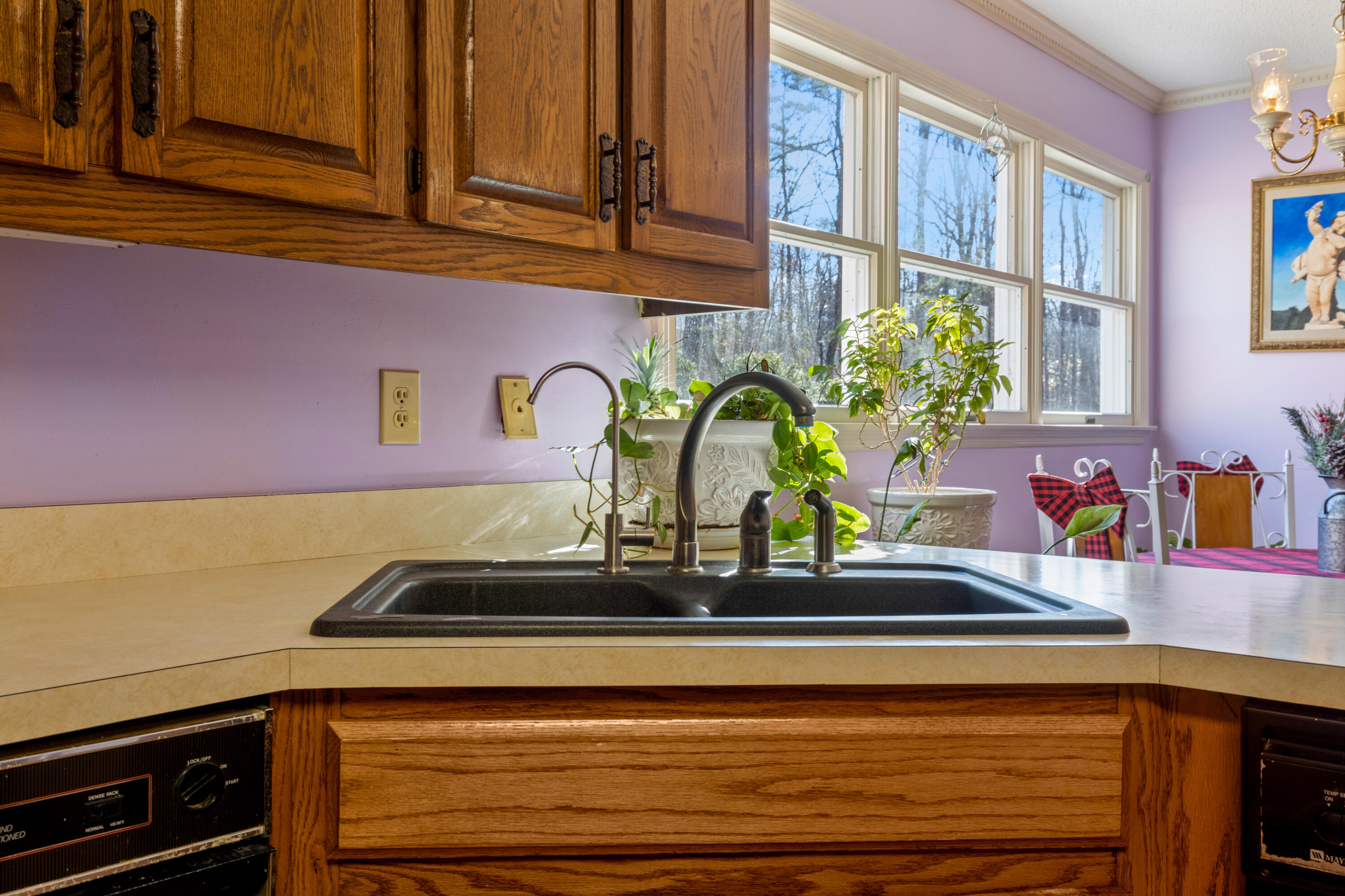 8515 Highway 157 Rising Fawn, GA 30738 - Photo 27 of 71 Hwy157-16