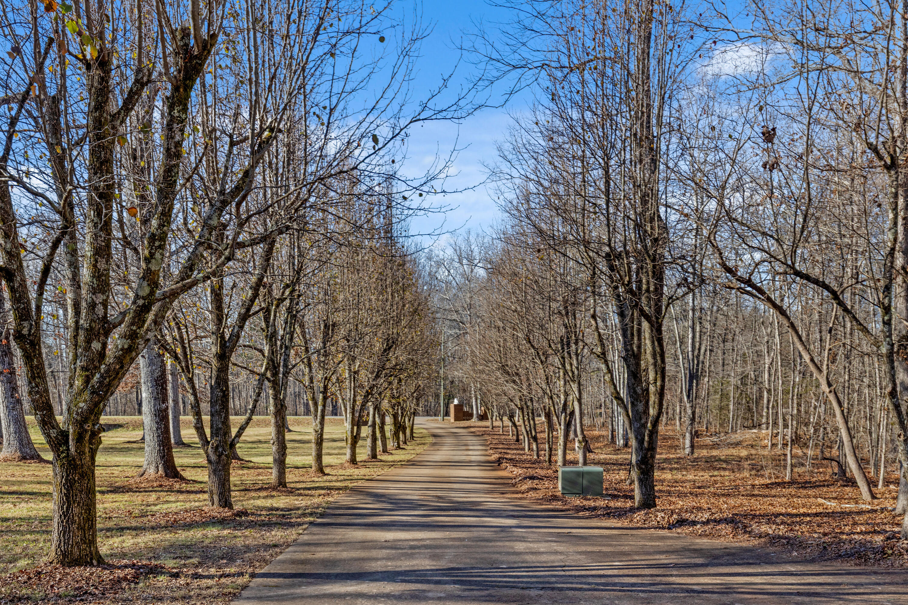8515 Highway 157 Rising Fawn, GA 30738 - Photo 3 of 71 Hwy157-44