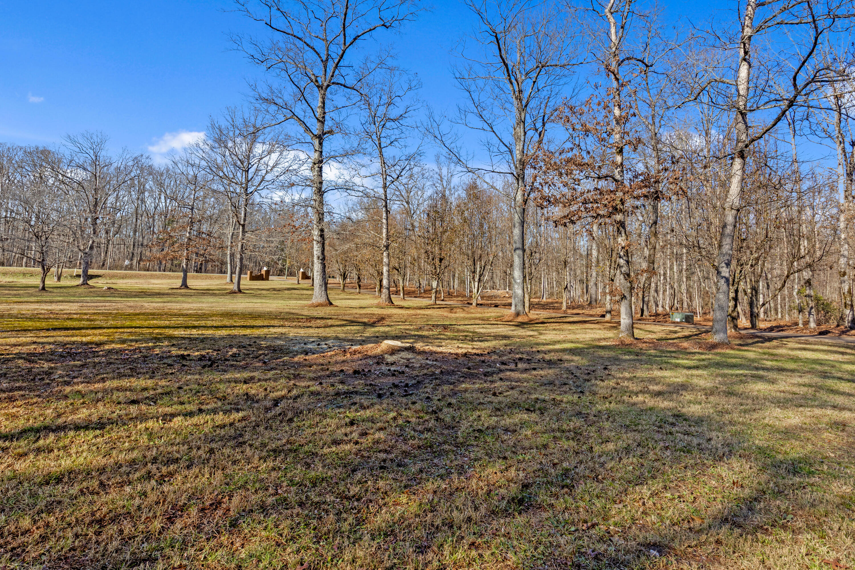 8515 Highway 157 Rising Fawn, GA 30738 - Photo 47 of 71 Hwy157-34