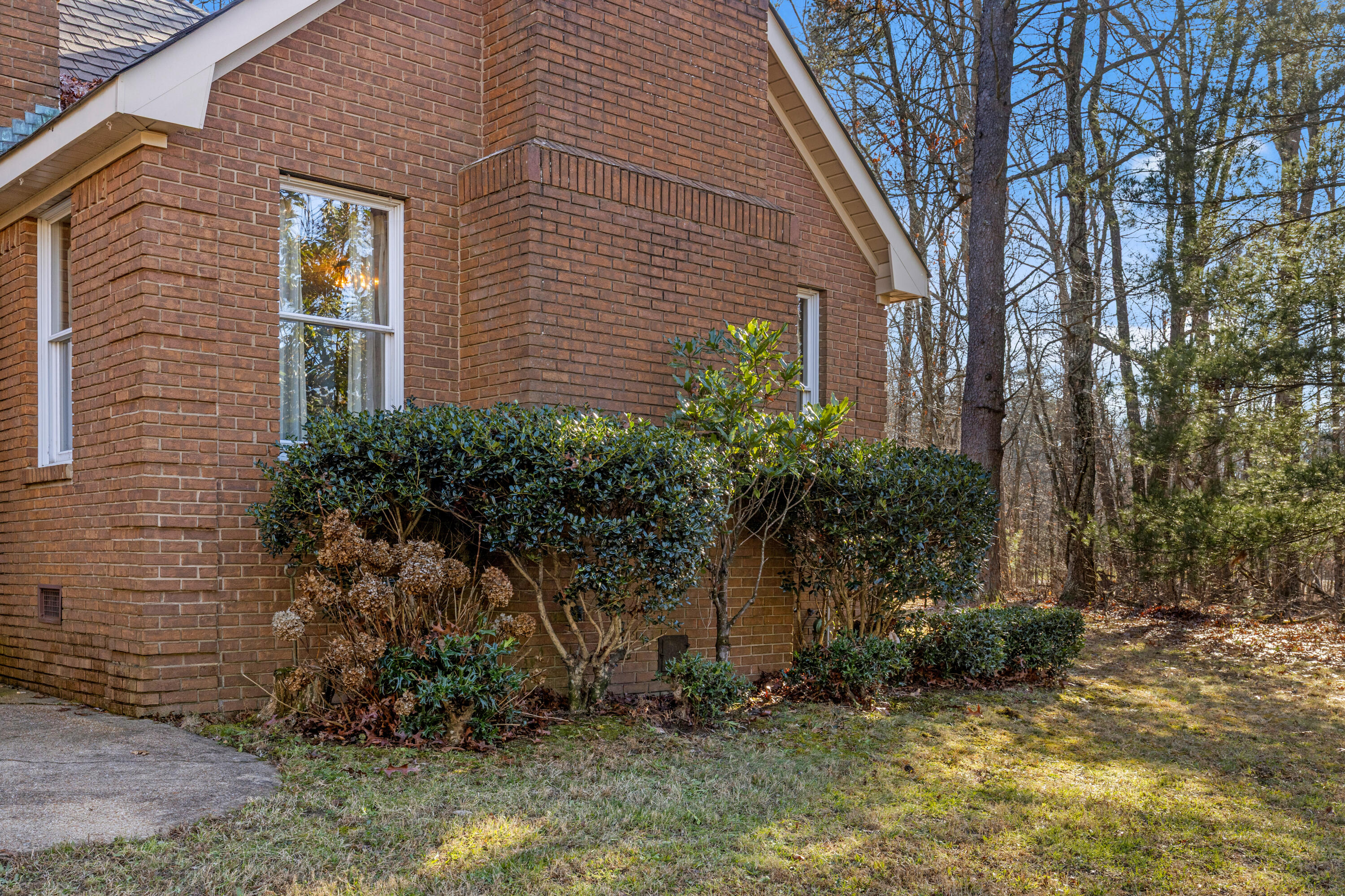 8515 Highway 157 Rising Fawn, GA 30738 - Photo 66 of 71 Hwy157-36