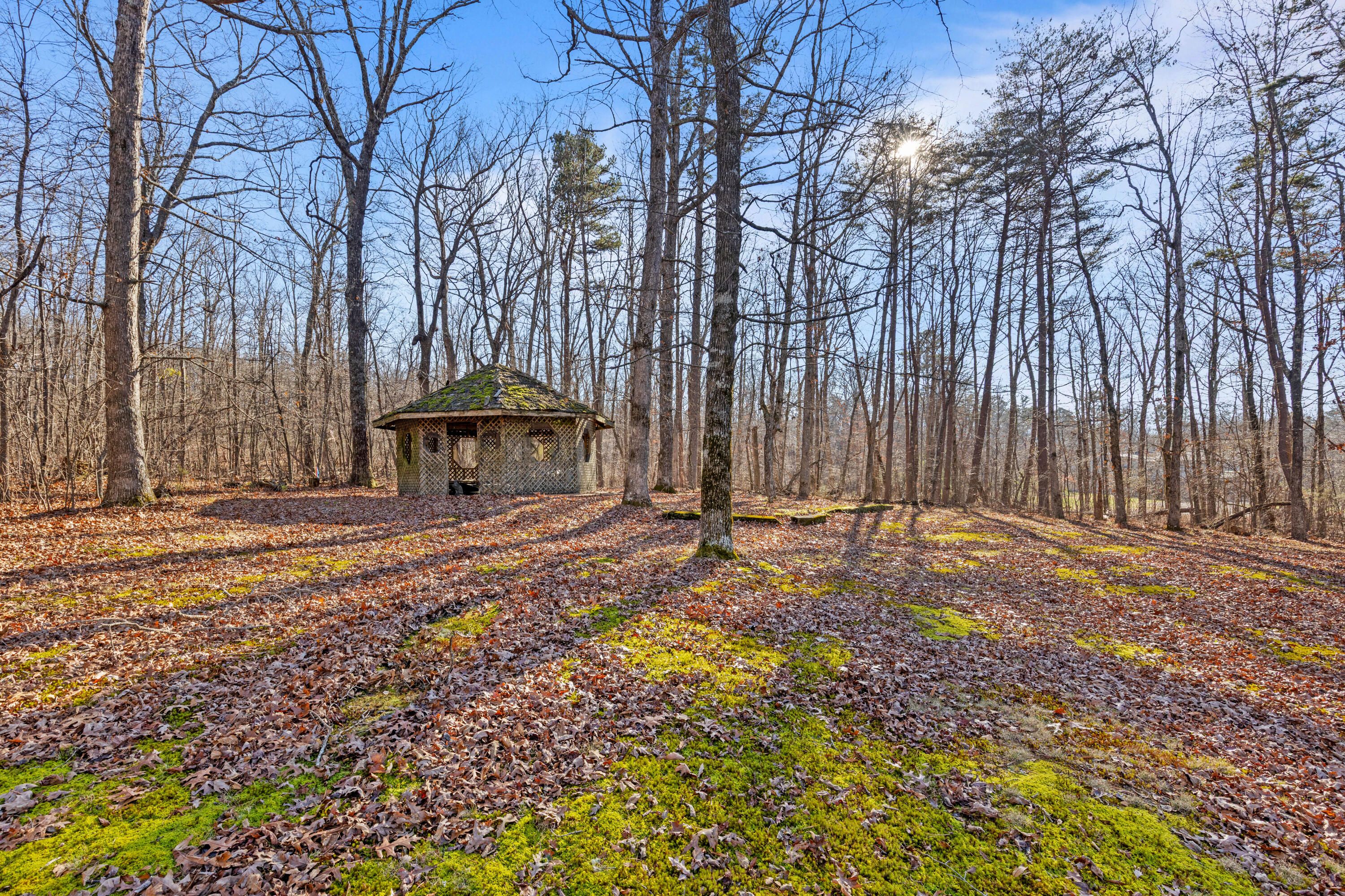 8515 Highway 157 Rising Fawn, GA 30738 - Photo 7 of 71 Hwy157-53