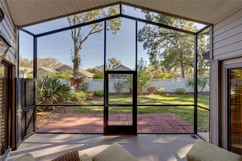 a view of a backyard with potted plants and large trees