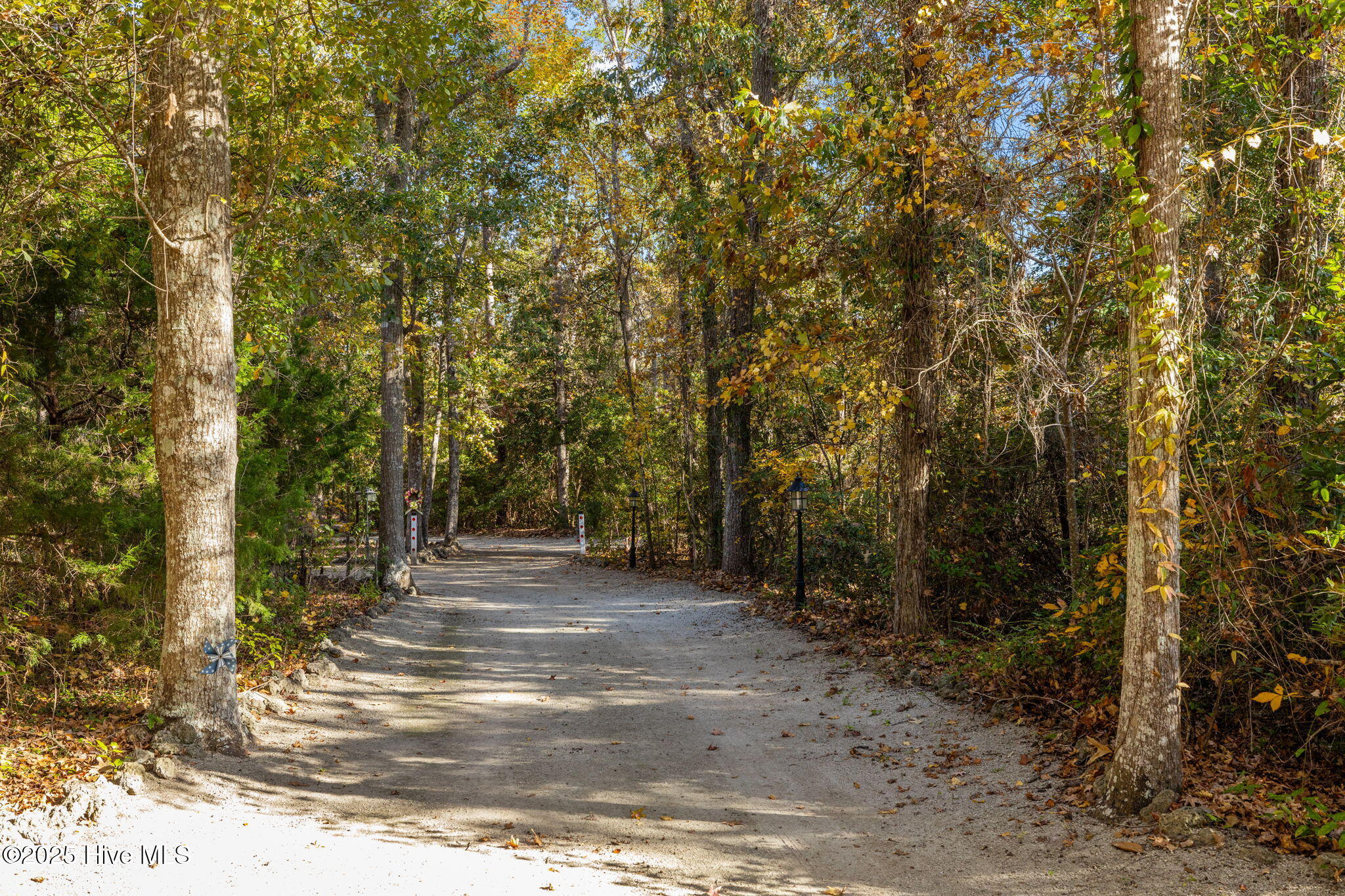 119 White Oak Bluff Road, Unit A Stella, NC 28582 - Photo 8 of 48 Driveway Entrance
