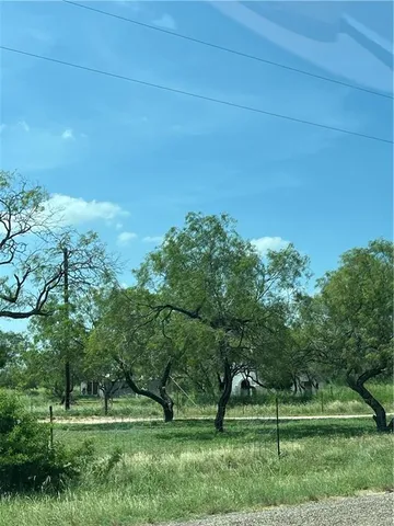 a big yard with lots of green space and trees