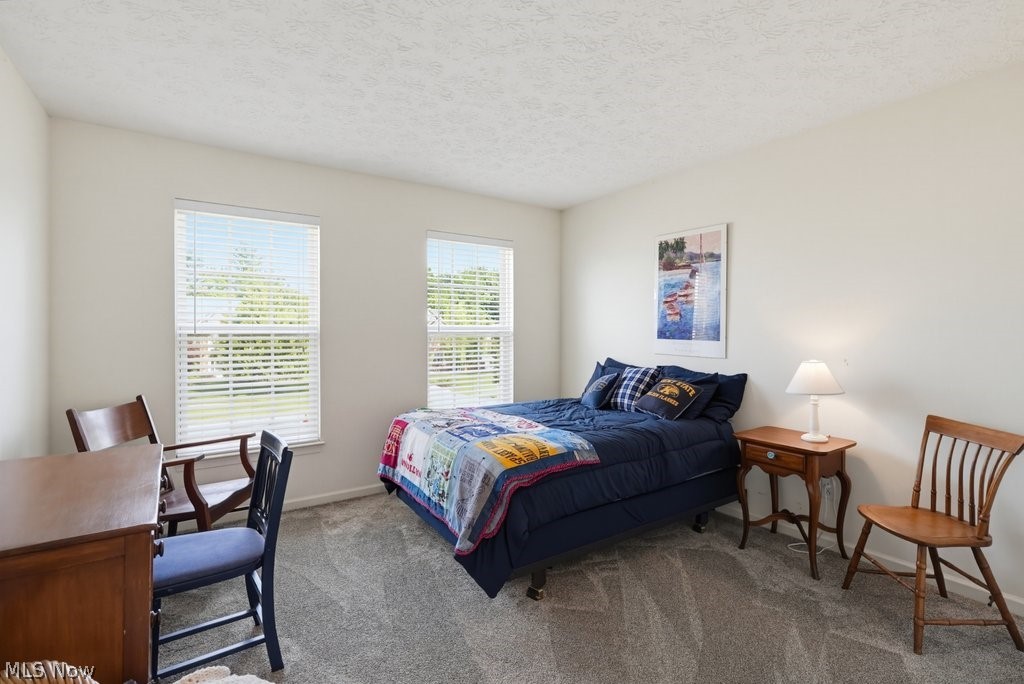 4588 Lexington Ridge Drive Medina, OH 44256 - Photo 28 of 37