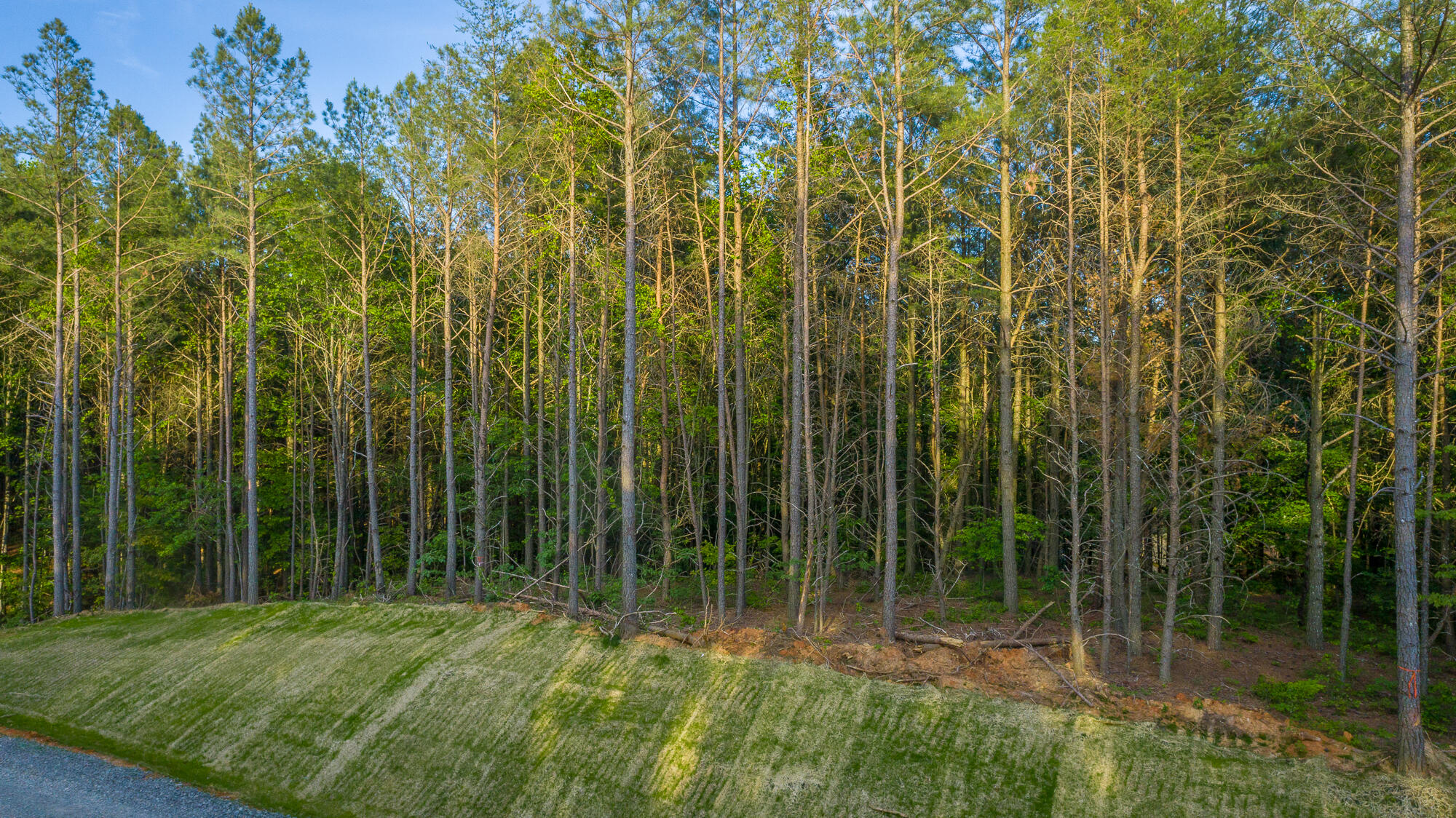 0 Cannon Way, Unit LOT 1317 Guild, TN 37340 - Photo 20 of 99 0 Cannon Way - Lot 1317 HD-4