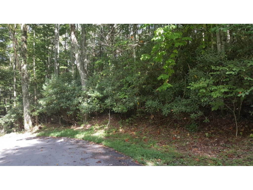 5 Roller Road Unicoi, TN 37692 - Photo 16 of 28 Photo 17