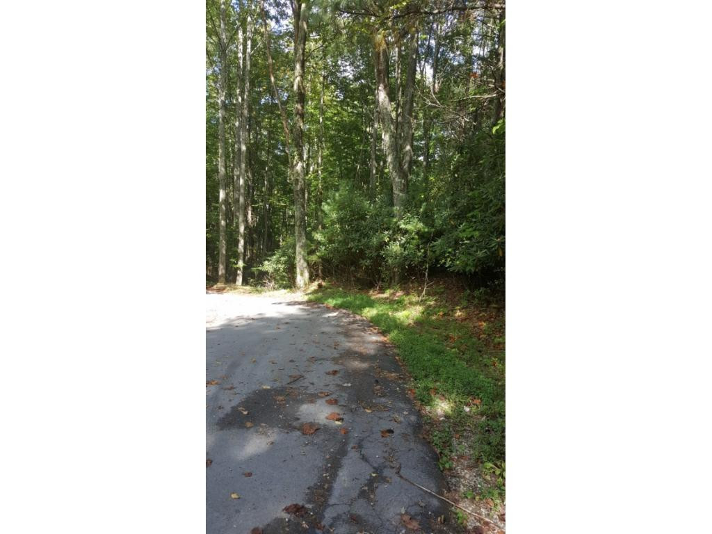 5 Roller Road Unicoi, TN 37692 - Photo 18 of 28 Photo 19