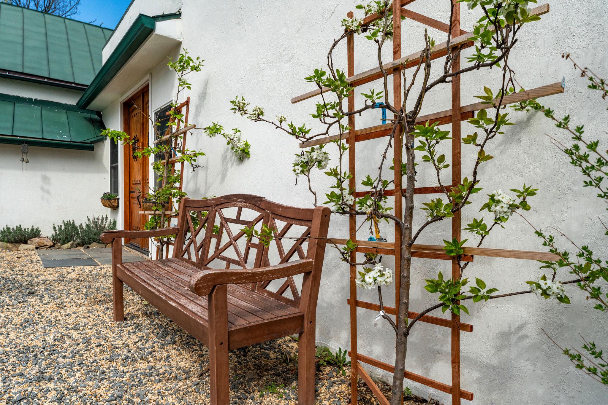 4094 Whiting Road Marshall, VA 20115 - Photo 4 of 69 Pear Trees