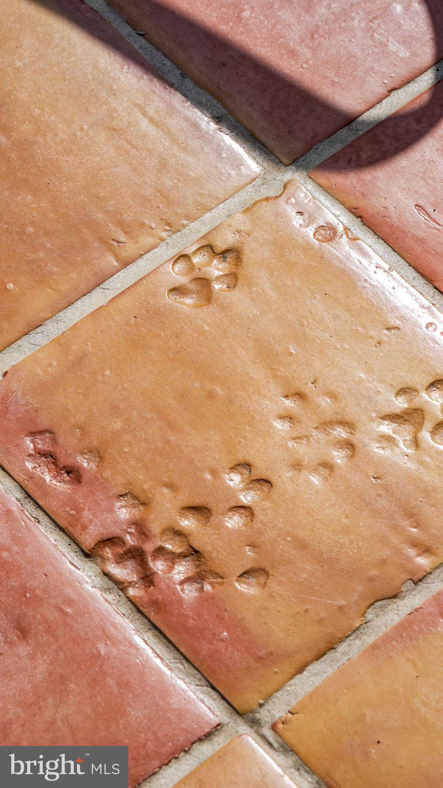 4094 Whiting Road Marshall, VA 20115 - Photo 69 of 69