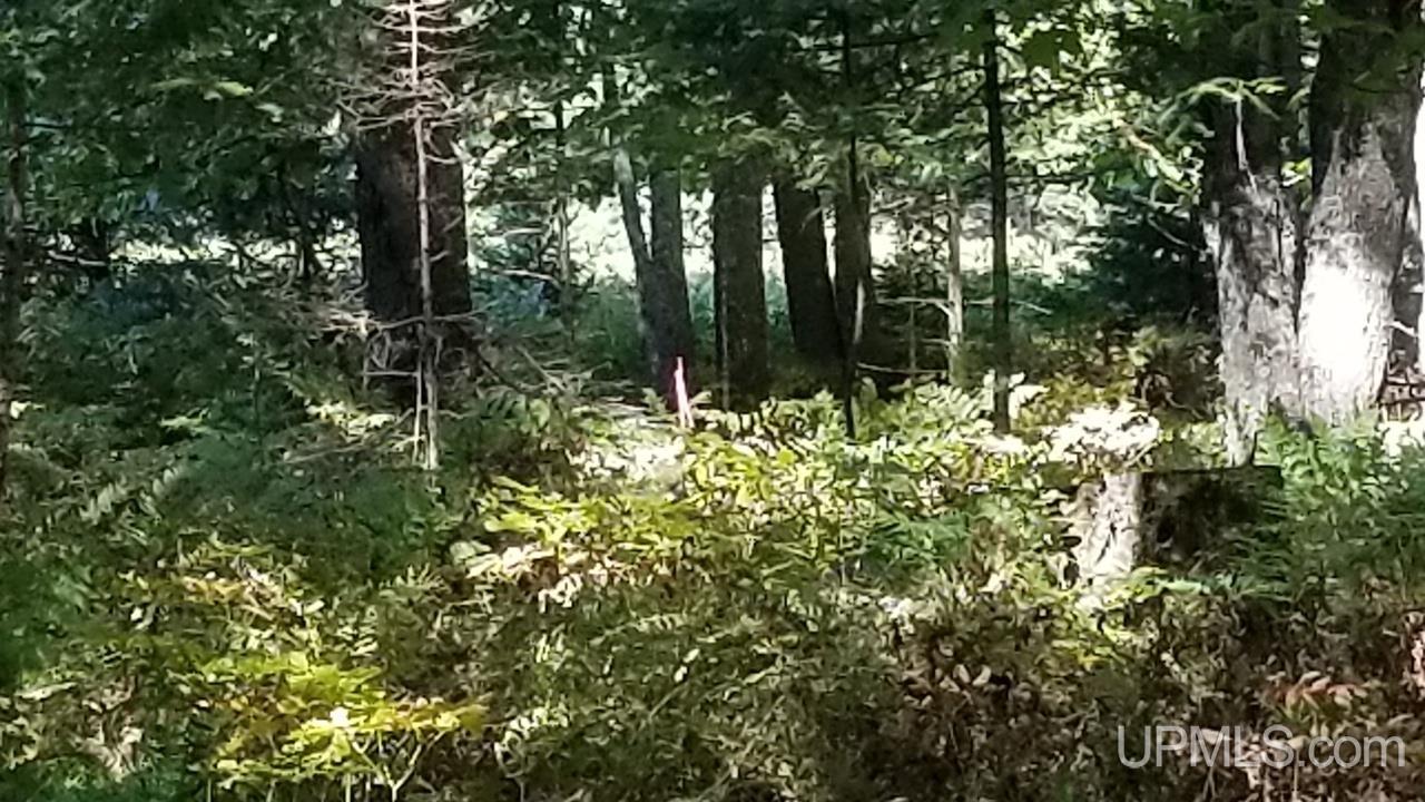 217 Reiman Road Iron River, MI 49935 - Photo 68 of 76