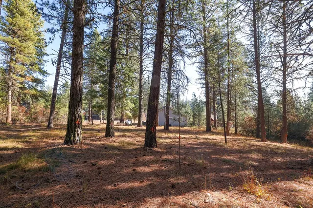 $77,900 | Tbd Columbine Drive, Unit 16, New Meadows, ID 83654
