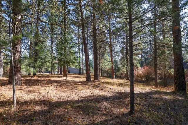 $77,900 | Tbd Columbine Drive, Unit 16, New Meadows, ID 83654