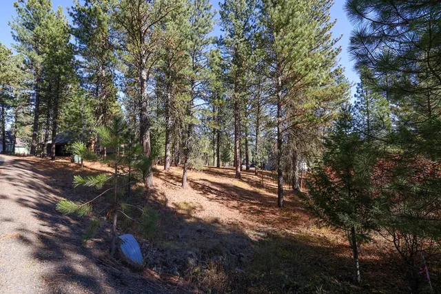 $77,900 | Tbd Columbine Drive, Unit 16, New Meadows, ID 83654