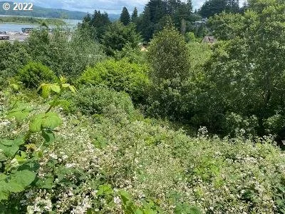a view of a lush green forest with houses