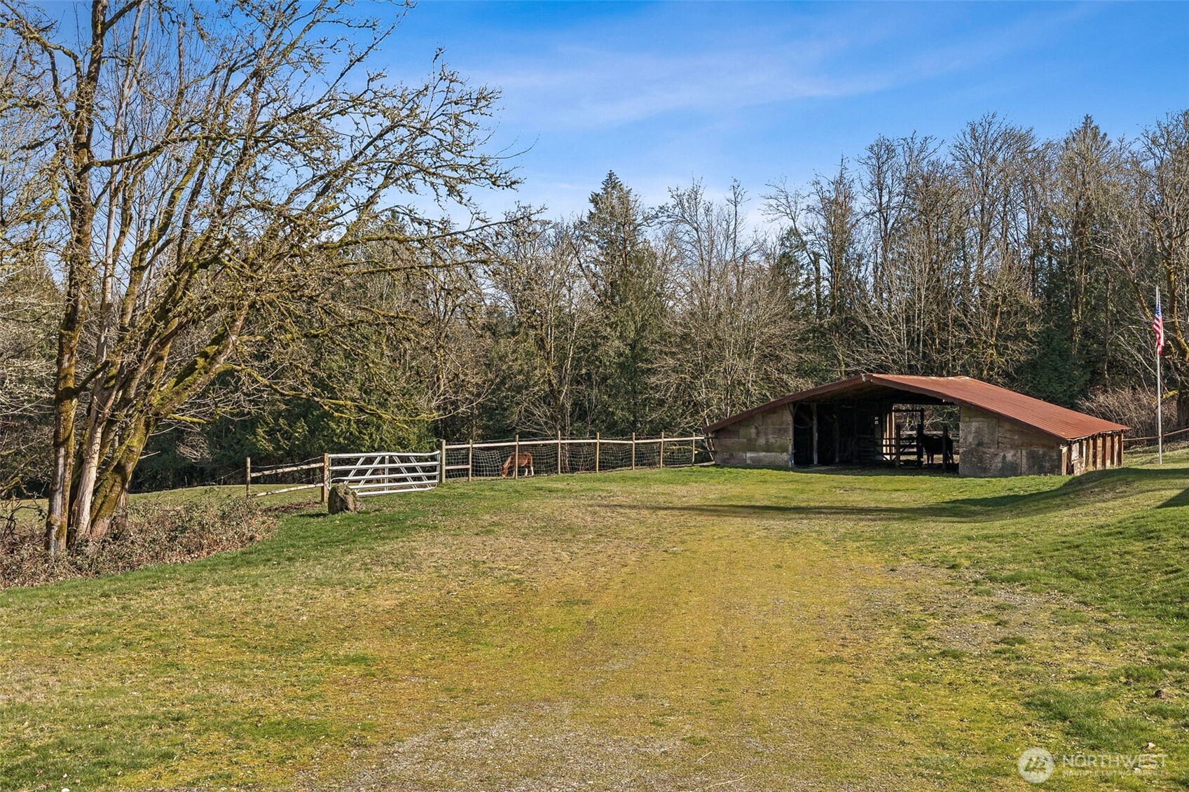6103 Lackey Road Northwest Vaughn, WA 98394 - Photo 29 of 37 a view of a swimming pool with a yard and large trees