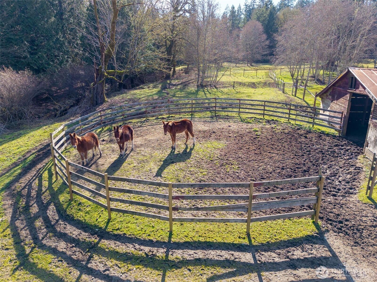 6103 Lackey Road Northwest Vaughn, WA 98394 - Photo 31 of 37 a view of swimming pool with a yard