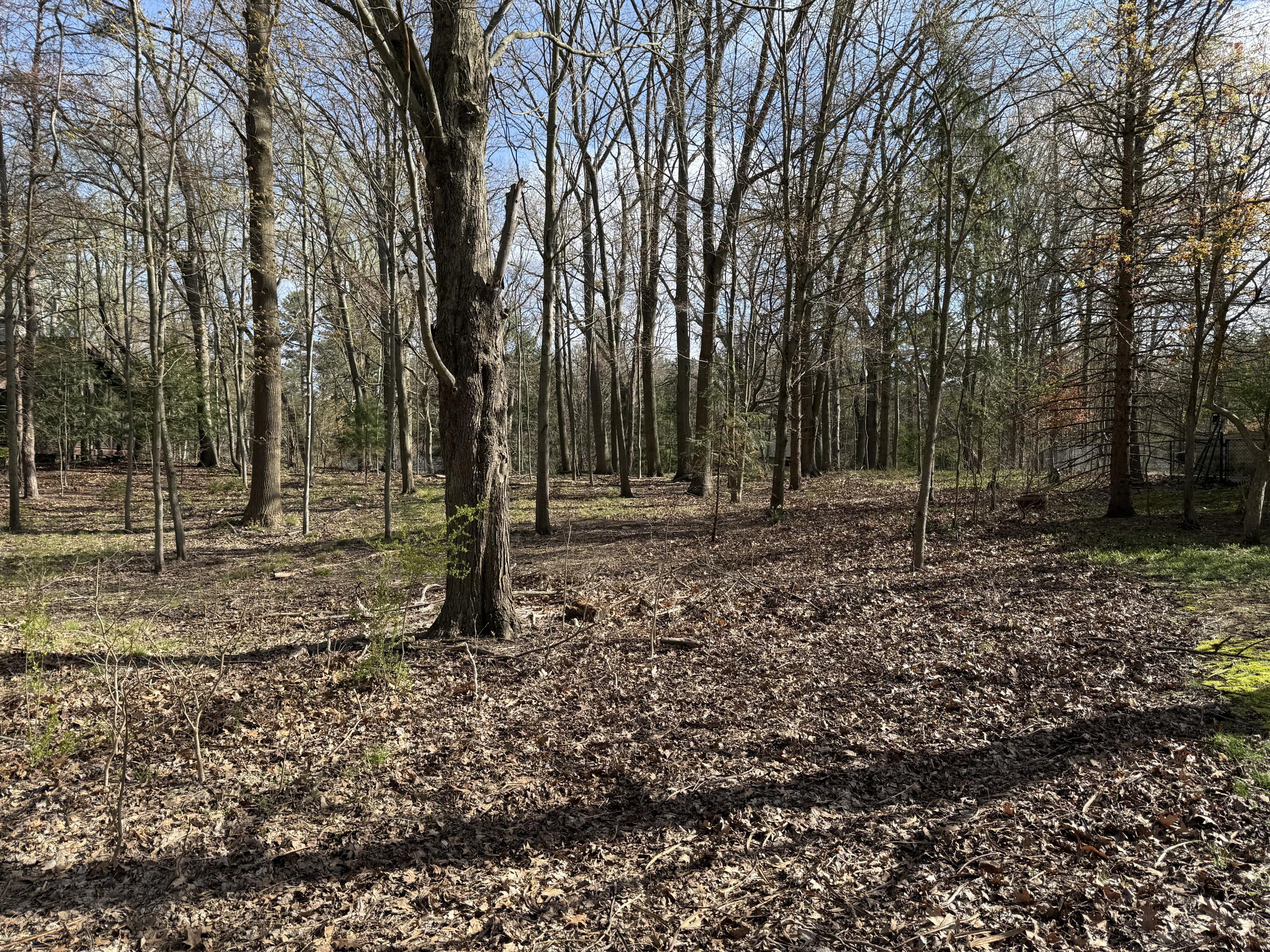Abc Greenbush Road Harbert, MI 49115 - Photo 1 of 10 IMG_0066
