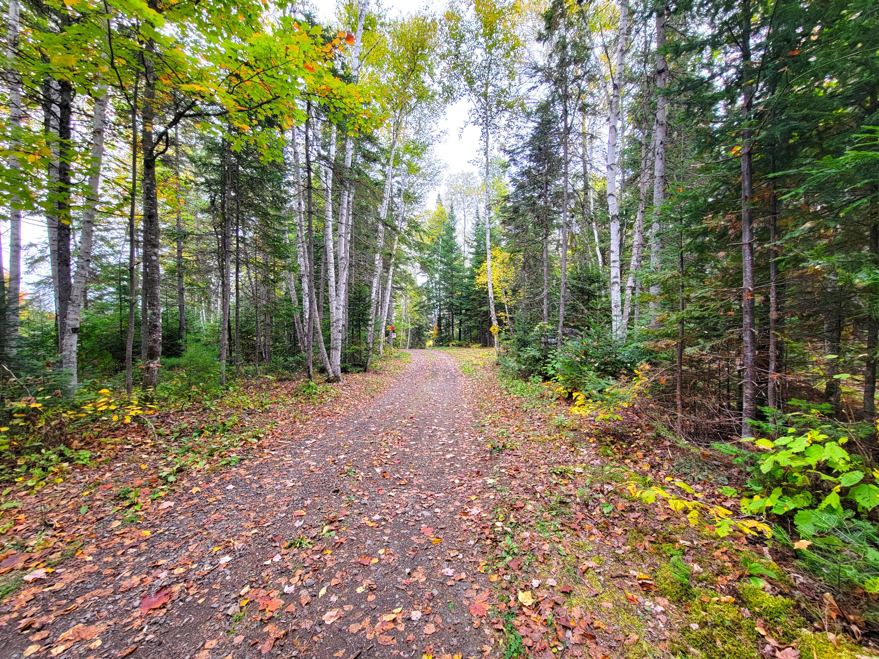 Multiple Multiple Multiple Road Eagle Lake, ME 04739 - Photo 11 of 34 20240928_150233