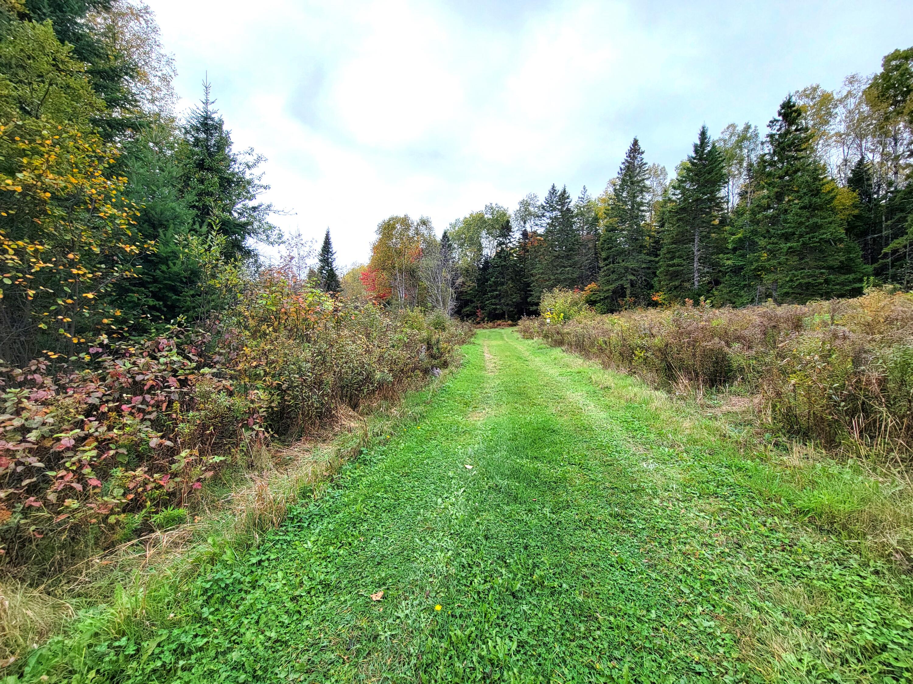Multiple Multiple Multiple Road Eagle Lake, ME 04739 - Photo 12 of 34 20240928_150513