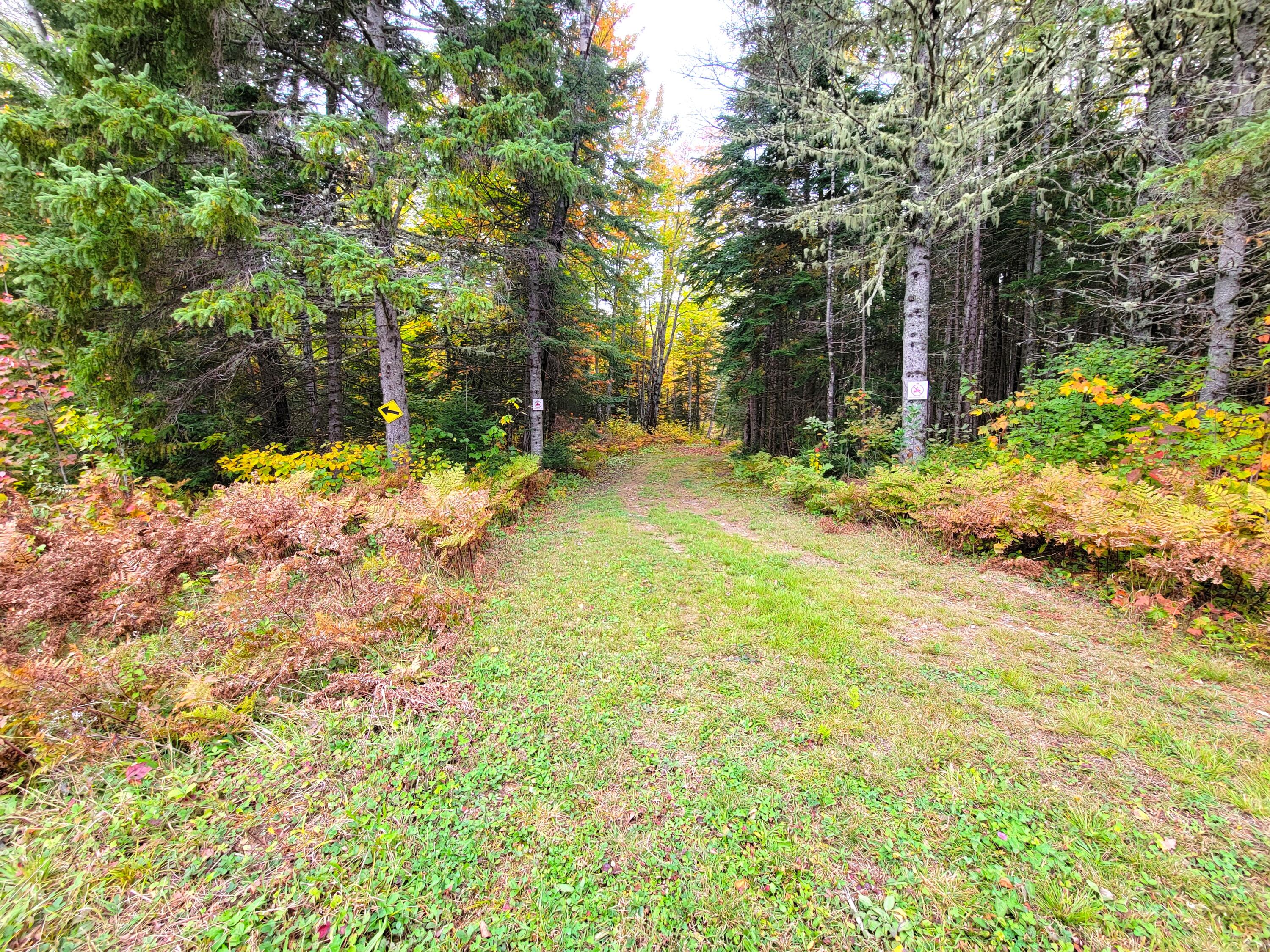 Multiple Multiple Multiple Road Eagle Lake, ME 04739 - Photo 13 of 34 20240928_150558