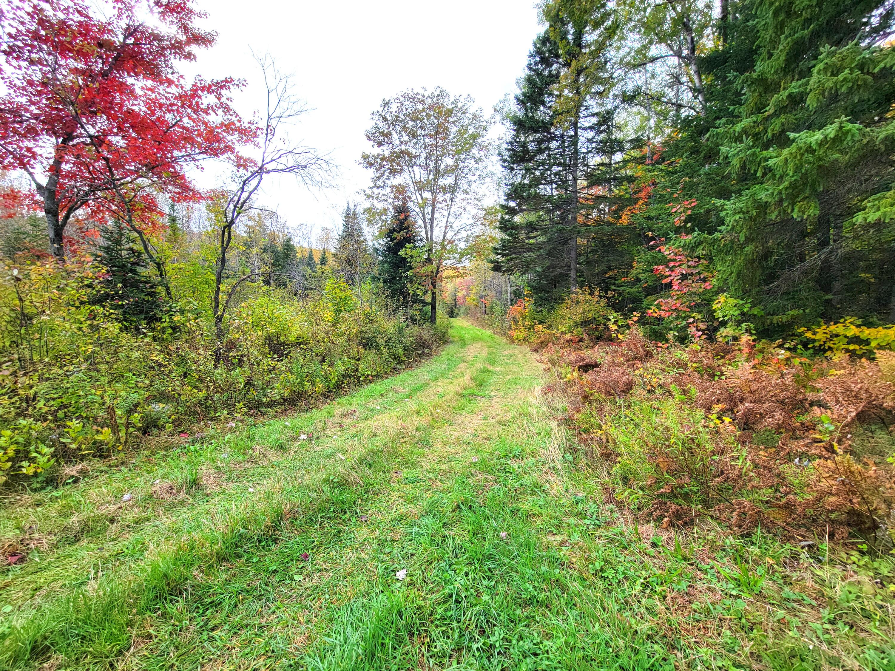Multiple Multiple Multiple Road Eagle Lake, ME 04739 - Photo 14 of 34 20240928_150604