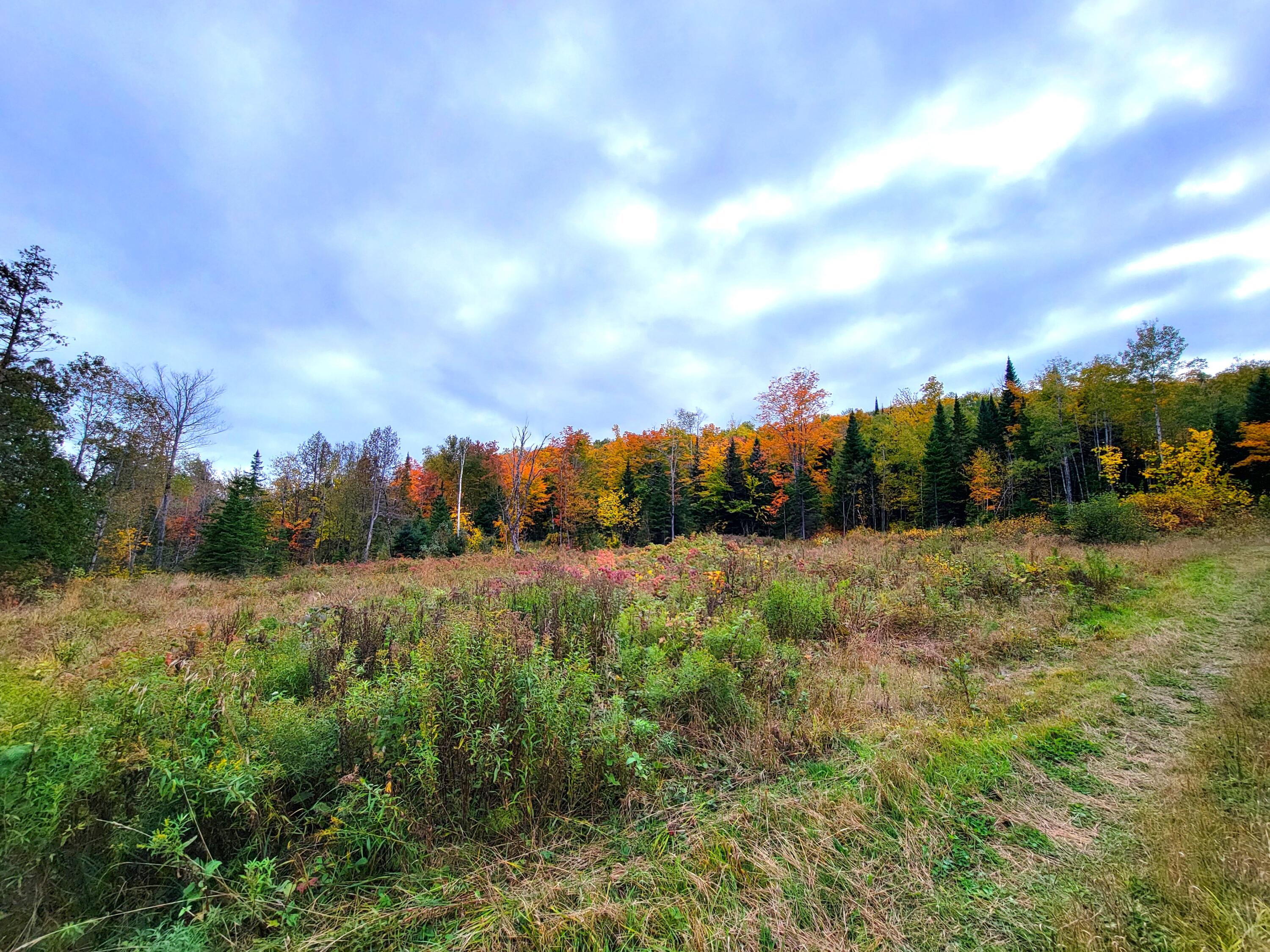 Multiple Multiple Multiple Road Eagle Lake, ME 04739 - Photo 16 of 34 20240928_151005