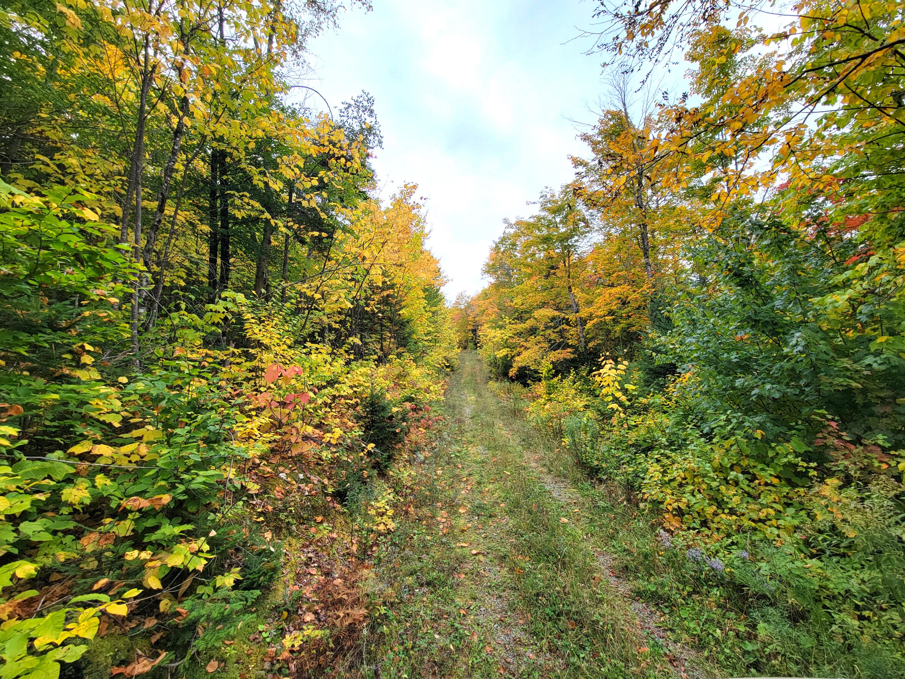 Multiple Multiple Multiple Road Eagle Lake, ME 04739 - Photo 18 of 34 20240928_151251