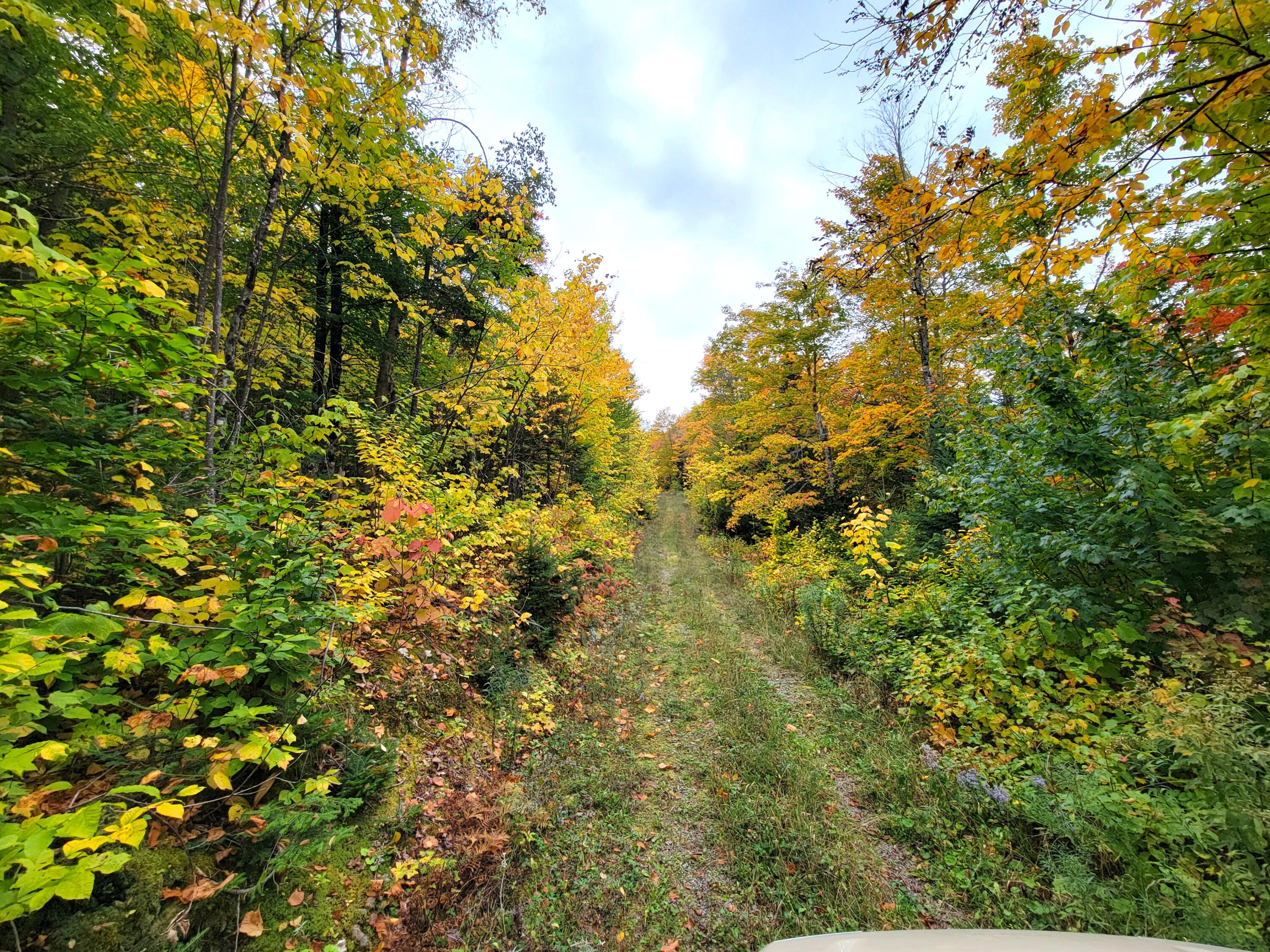 Multiple Multiple Multiple Road Eagle Lake, ME 04739 - Photo 19 of 34 20240928_151303