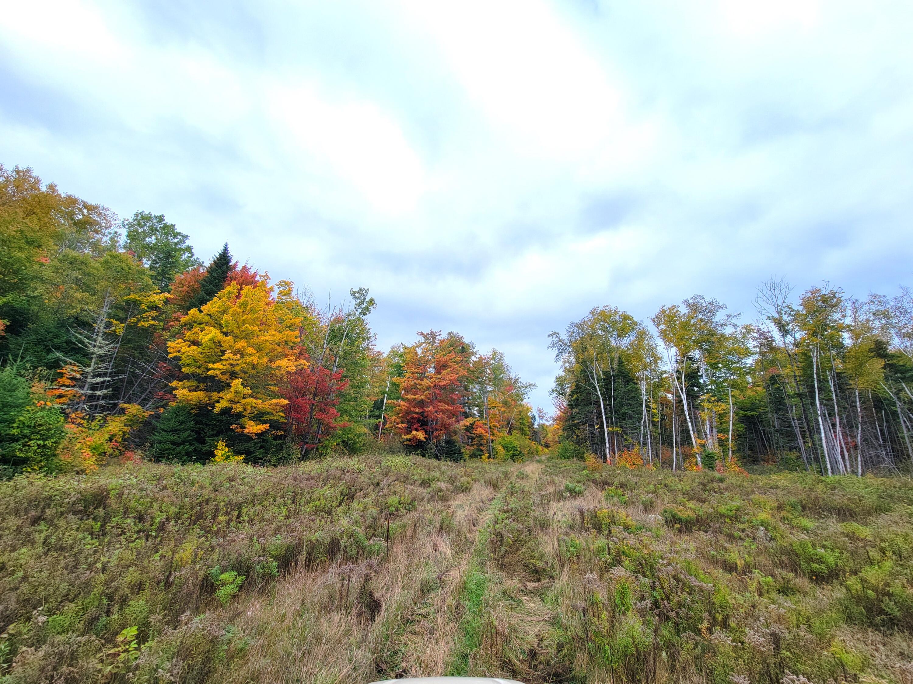 Multiple Multiple Multiple Road Eagle Lake, ME 04739 - Photo 20 of 34 20240928_151817
