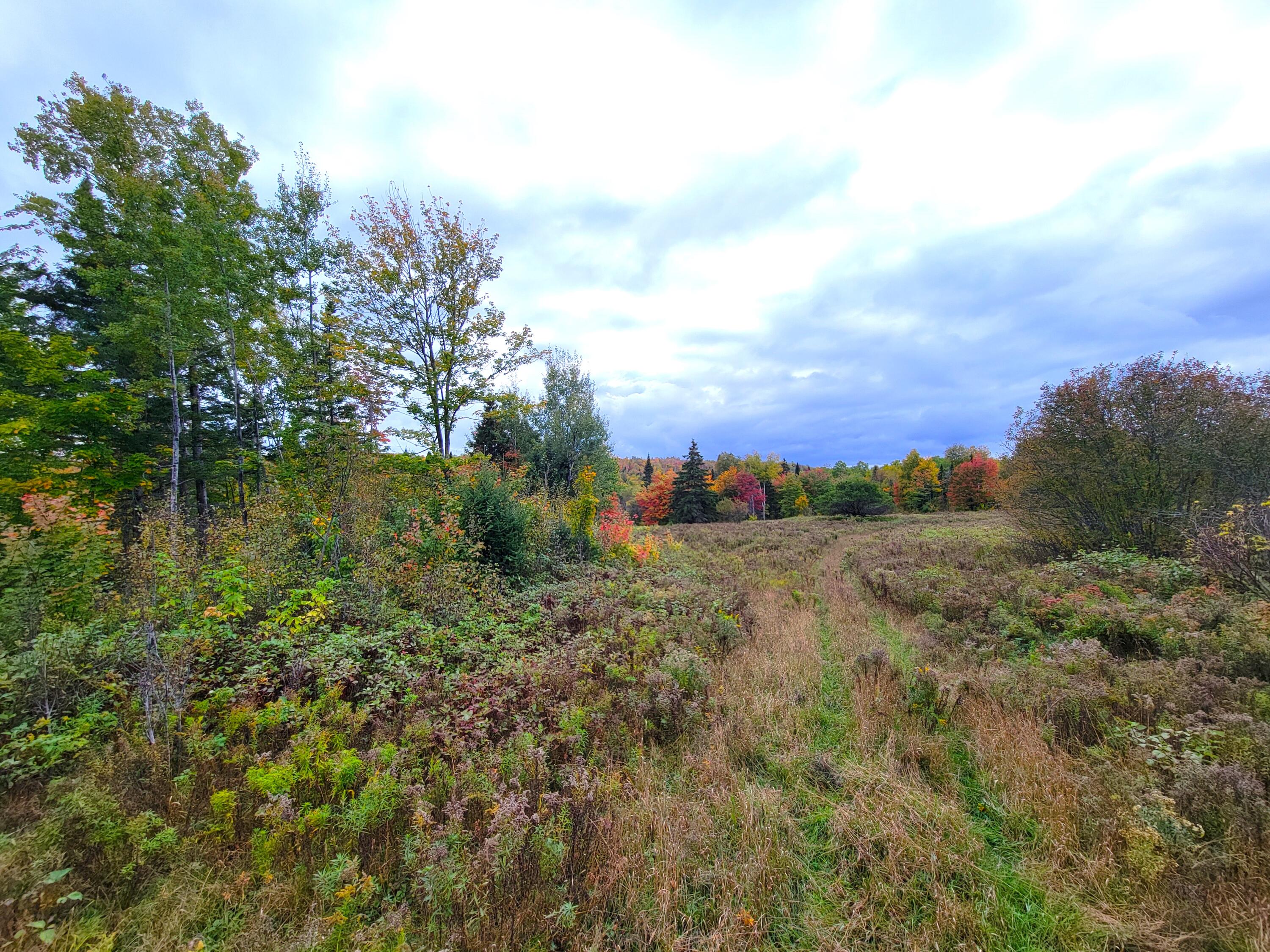Multiple Multiple Multiple Road Eagle Lake, ME 04739 - Photo 21 of 34 20240928_151827