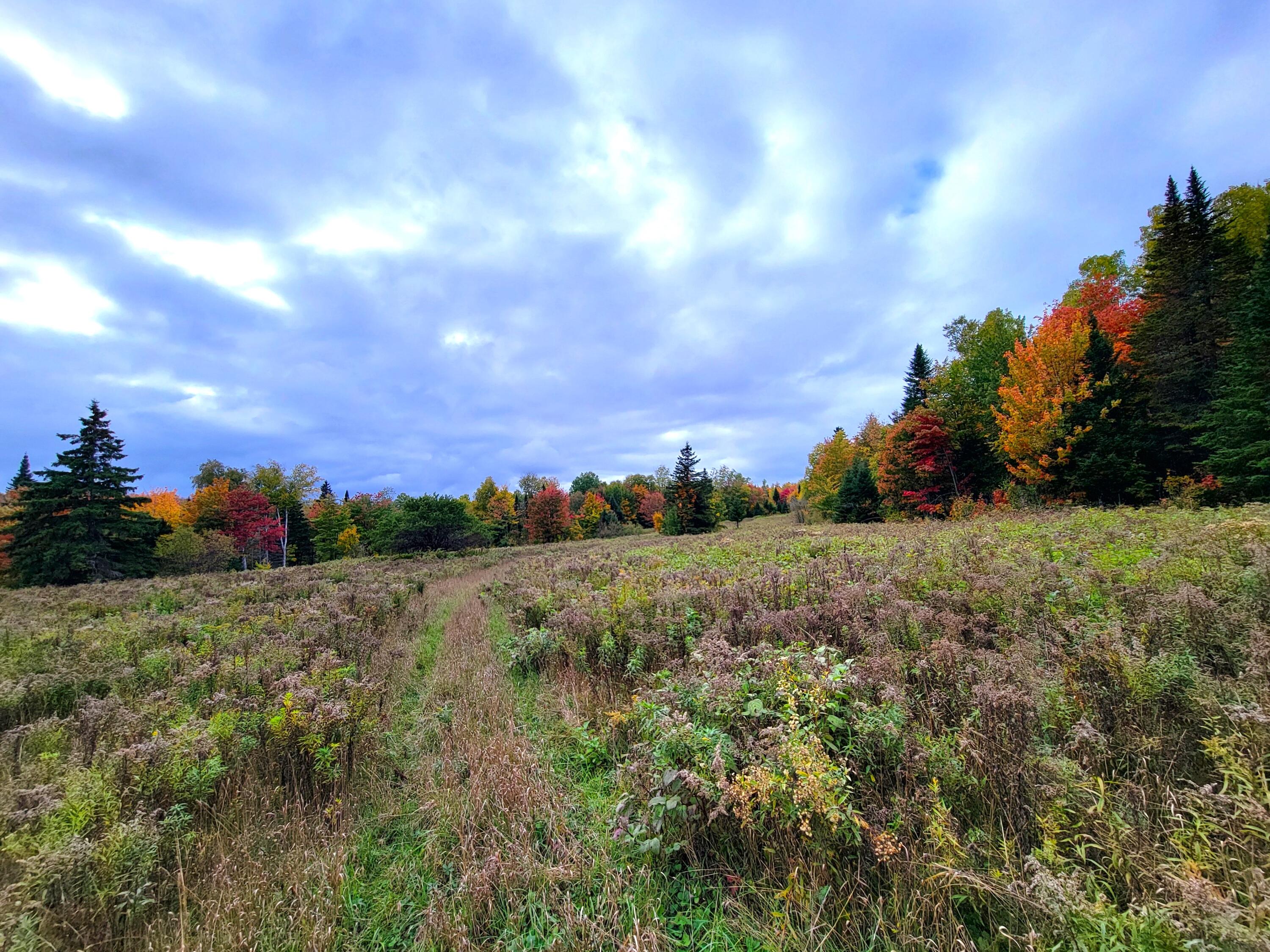 Multiple Multiple Multiple Road Eagle Lake, ME 04739 - Photo 23 of 34 20240928_152446