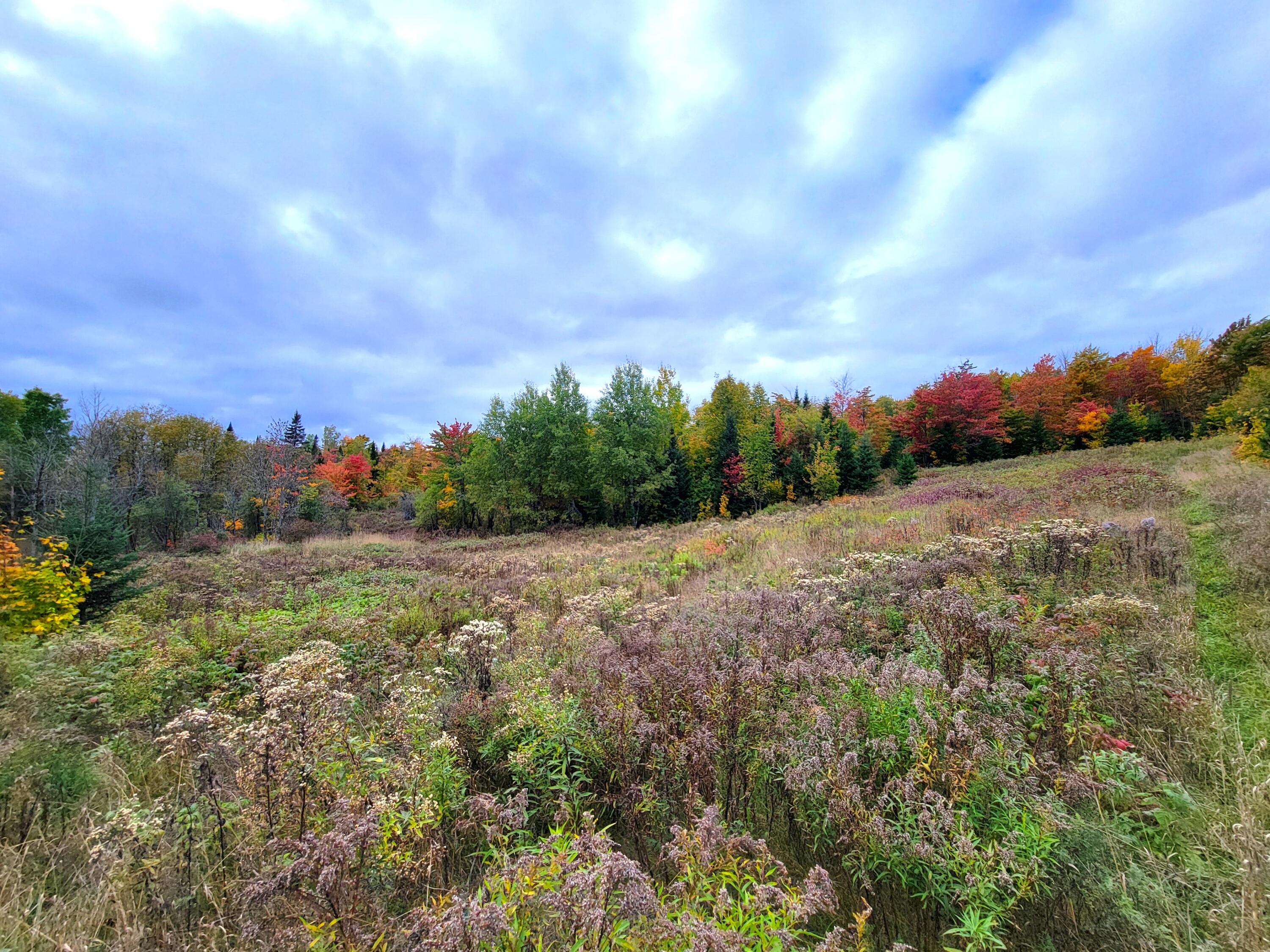 Multiple Multiple Multiple Road Eagle Lake, ME 04739 - Photo 24 of 34 20240928_152955