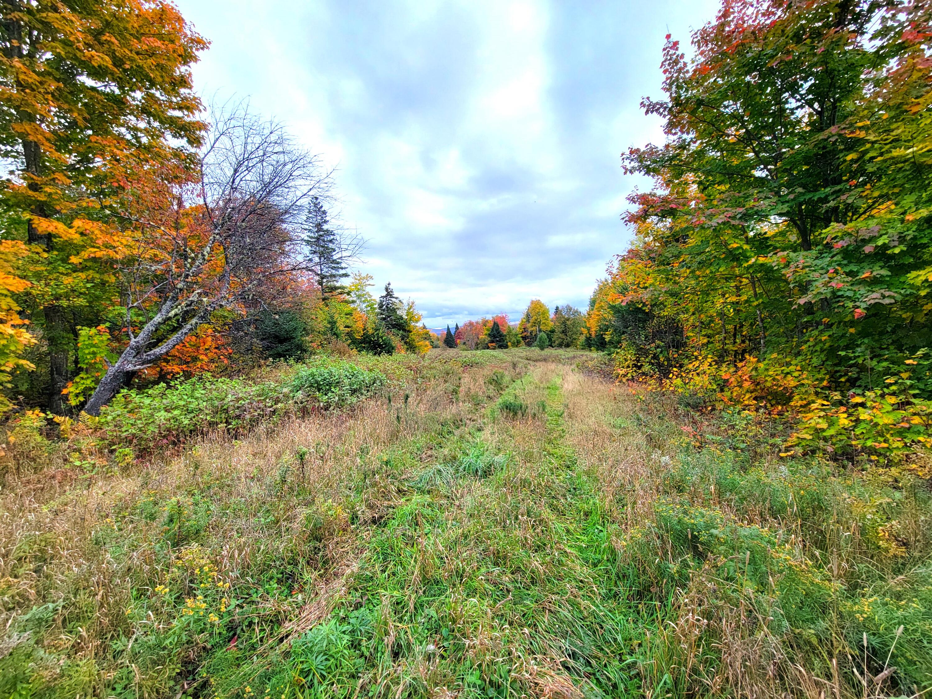 Multiple Multiple Multiple Road Eagle Lake, ME 04739 - Photo 25 of 34 20240928_153008