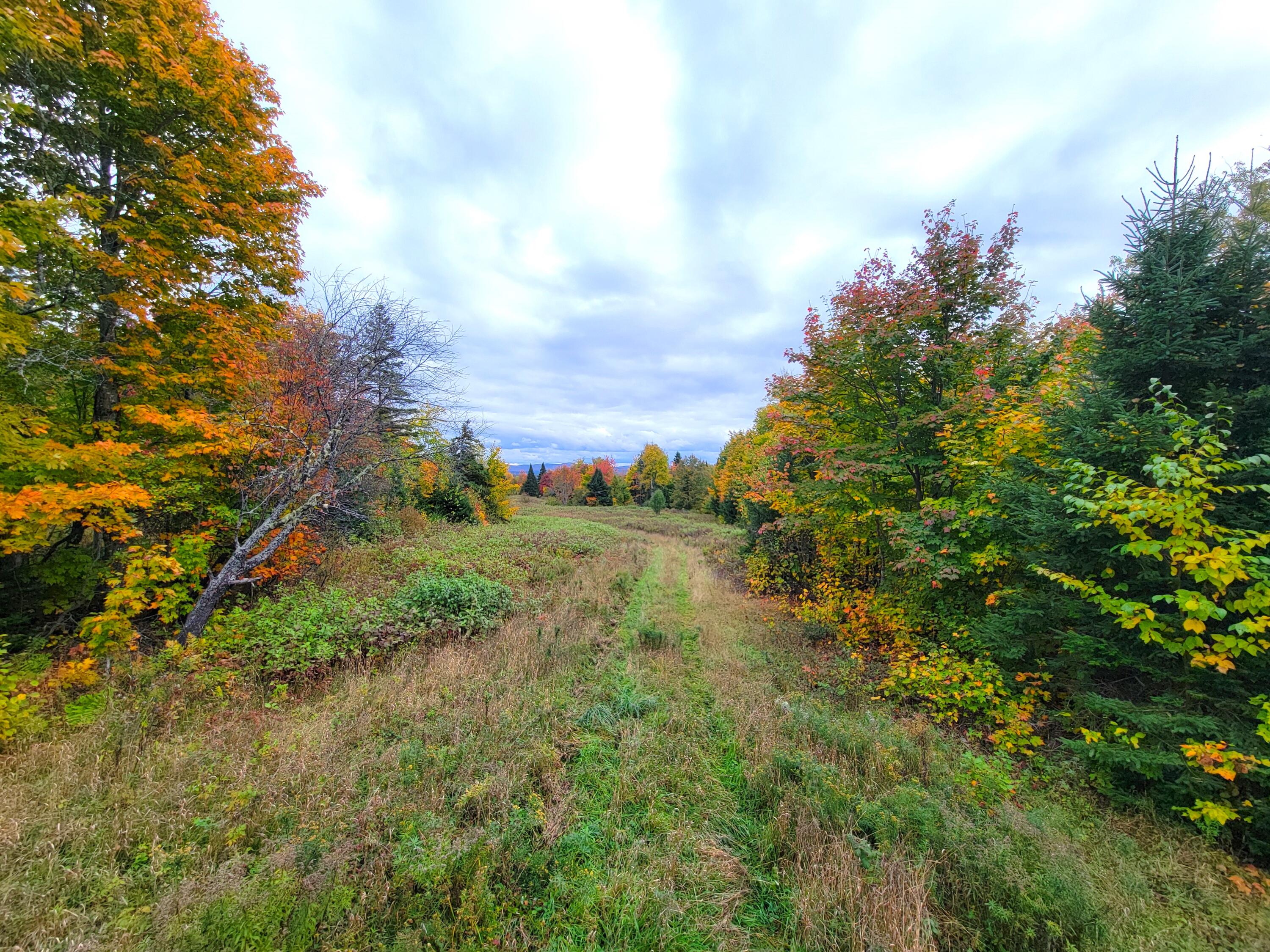 Multiple Multiple Multiple Road Eagle Lake, ME 04739 - Photo 26 of 34 20240928_153029