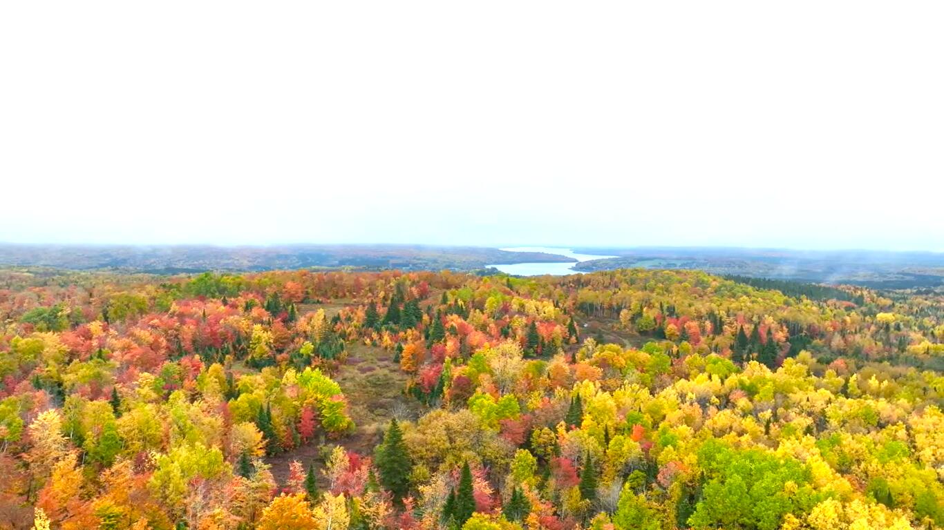 Multiple Multiple Multiple Road Eagle Lake, ME 04739 - Photo 3 of 34 5