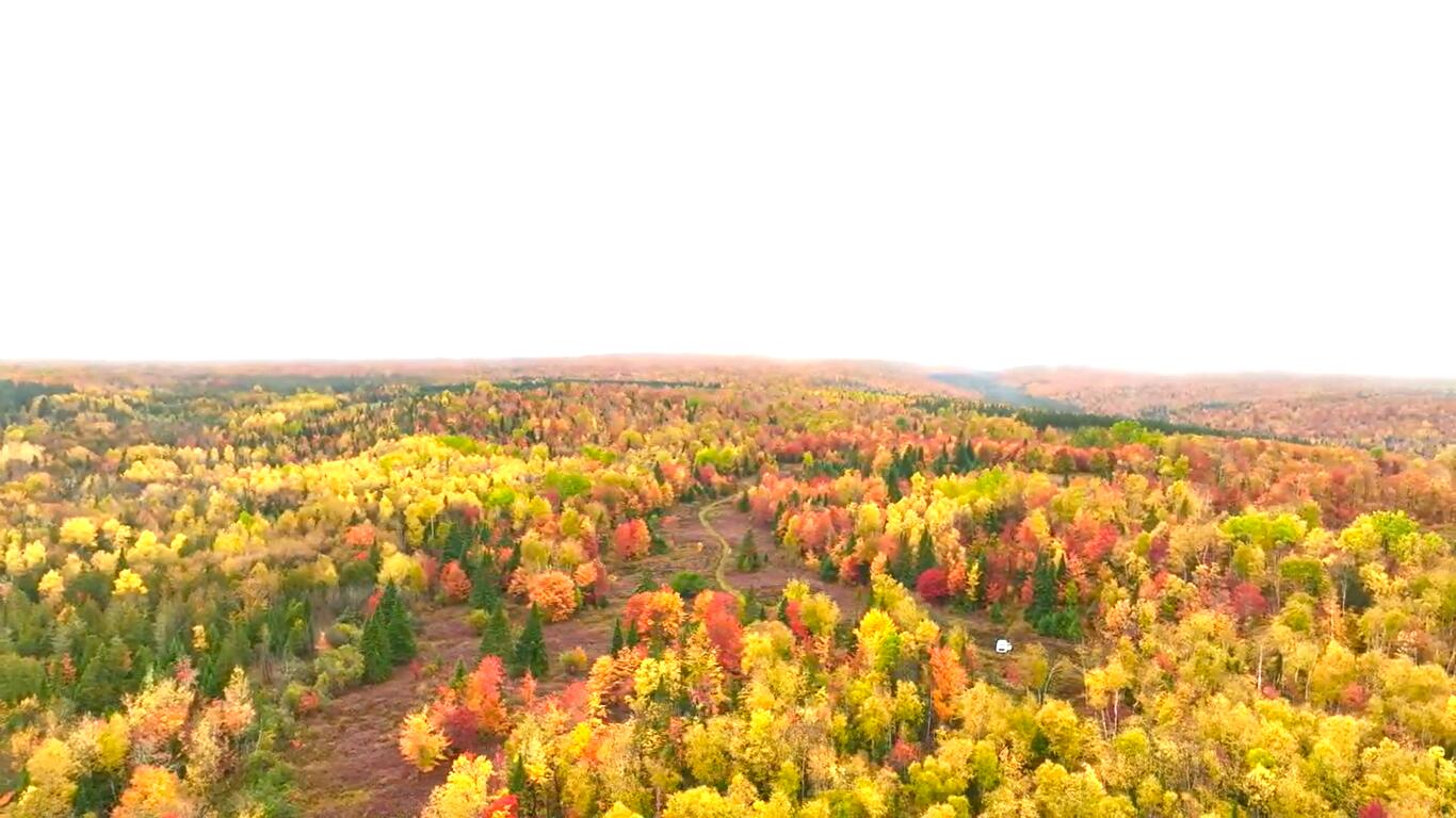 Multiple Multiple Multiple Road Eagle Lake, ME 04739 - Photo 33 of 34 6