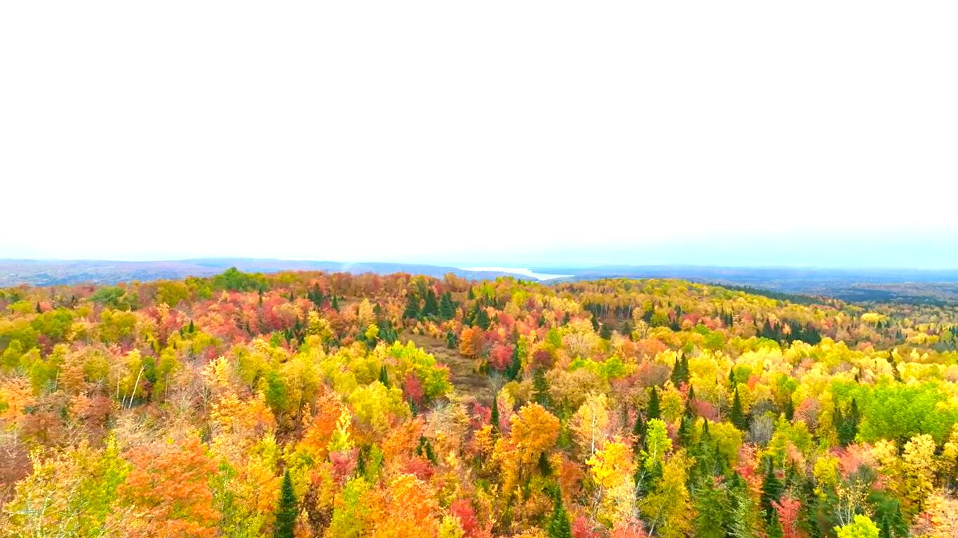 Multiple Multiple Multiple Road Eagle Lake, ME 04739 - Photo 34 of 34 8