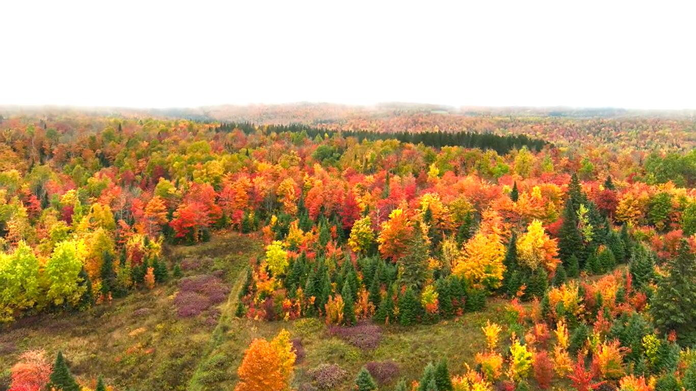 Multiple Multiple Multiple Road Eagle Lake, ME 04739 - Photo 5 of 34 3