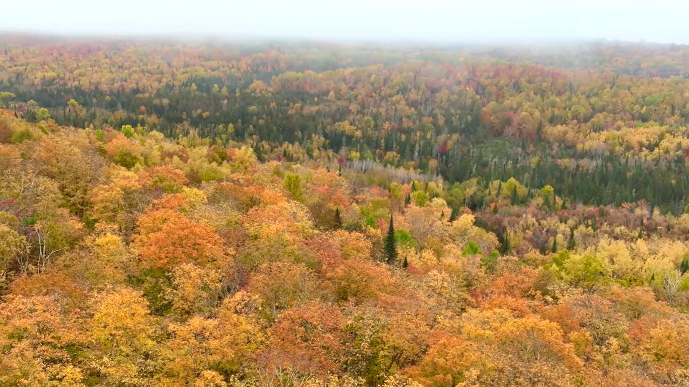 Multiple Multiple Multiple Road Eagle Lake, ME 04739 - Photo 6 of 34 2