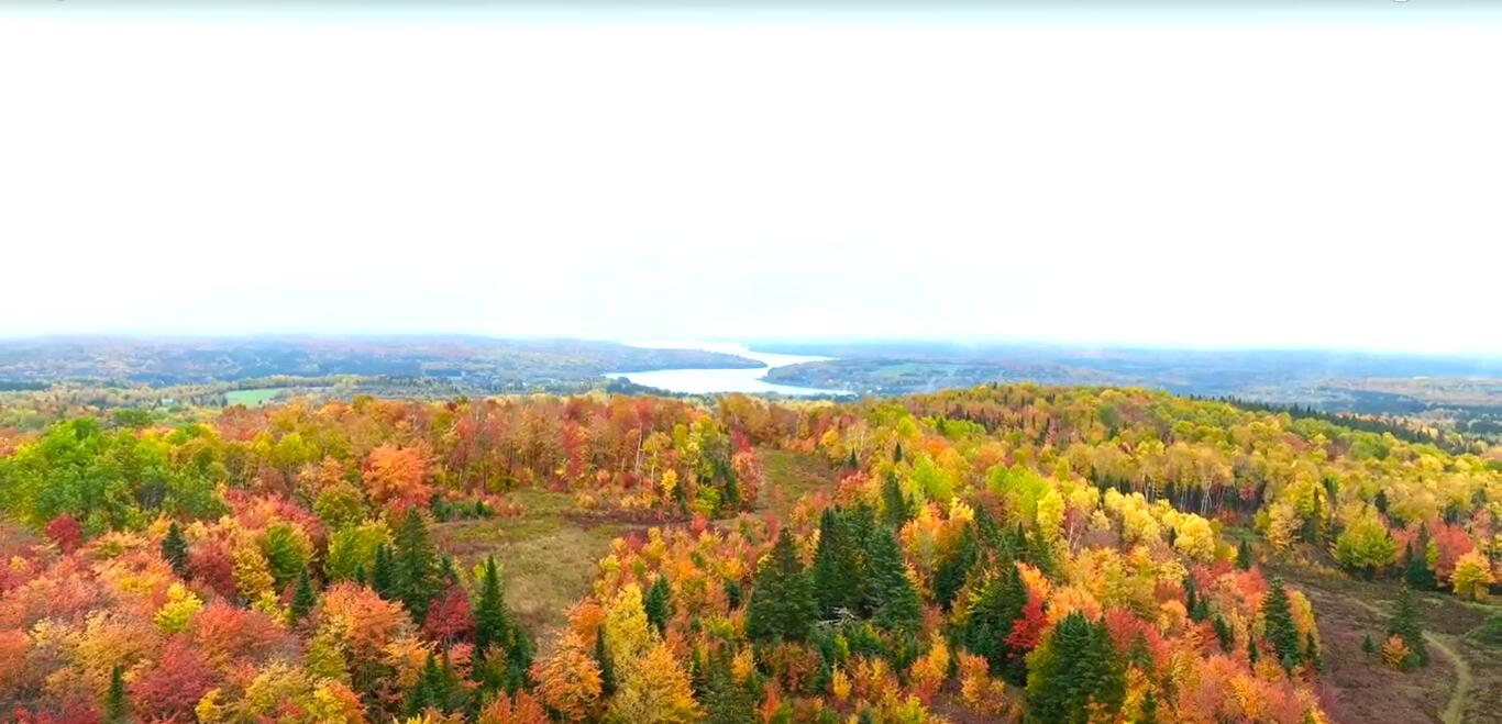 Multiple Multiple Multiple Road Eagle Lake, ME 04739 - Photo 7 of 34 1