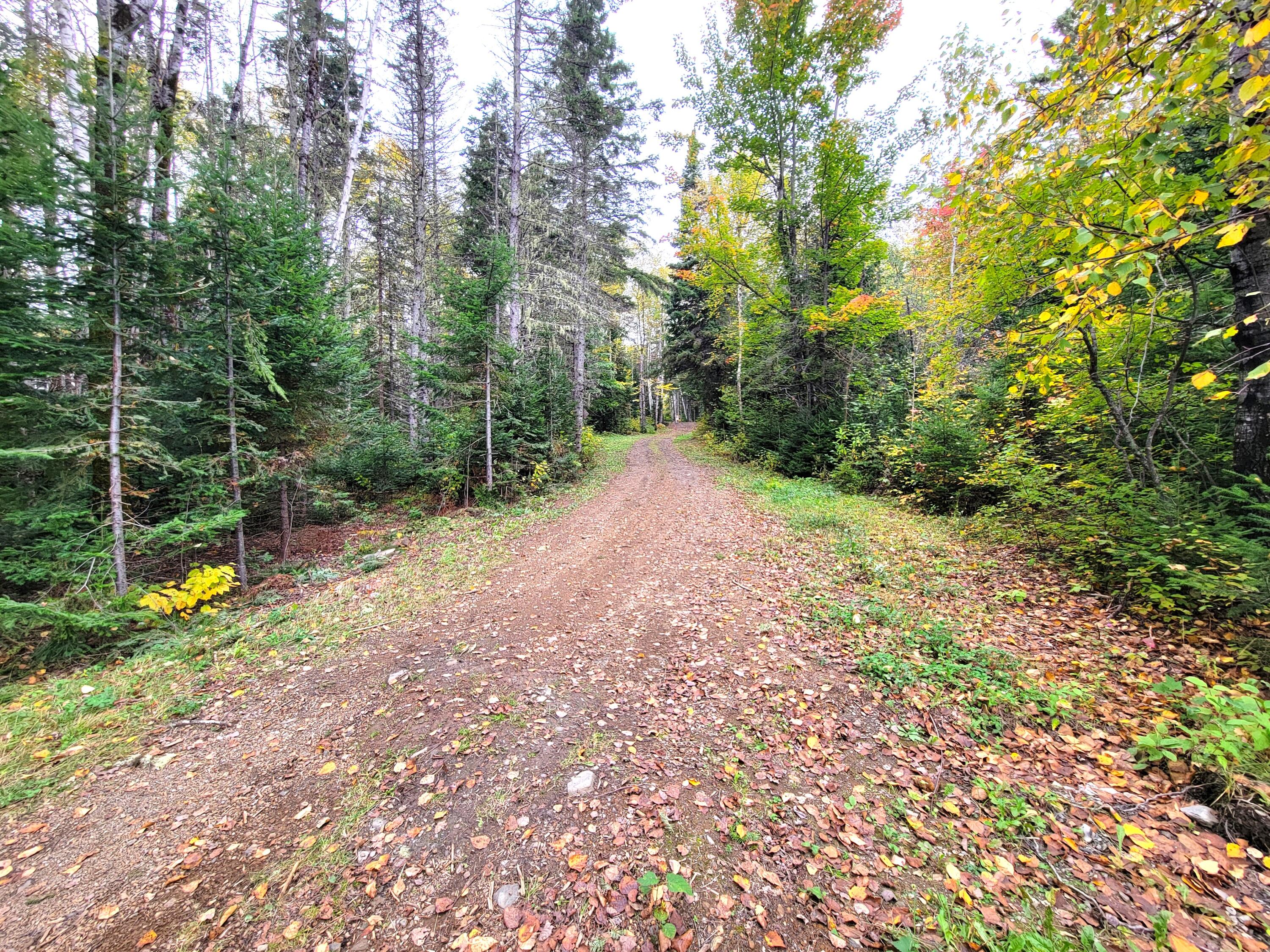 Multiple Multiple Multiple Road Eagle Lake, ME 04739 - Photo 10 of 34 20240928_150119