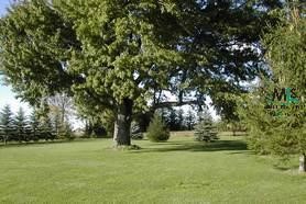 3260 Sebewaing Road Bad Axe, MI 48413 - Photo 4 of 4 294484-3.JPG