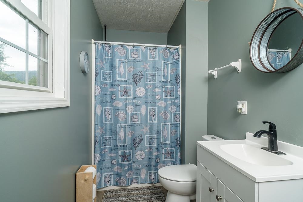 13654 Hopkins Gap Road Fulks Run, VA 22830 - Photo 21 of 44 Gallery Image 21