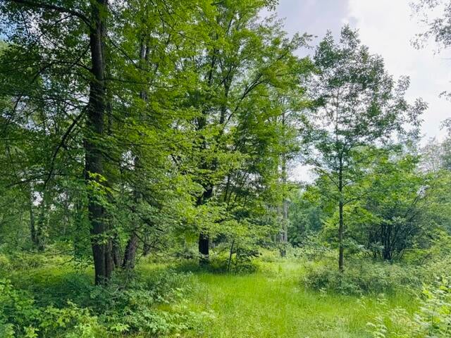 11001 Little George Lake Road Gladwin, MI 48624 - Photo 33 of 45