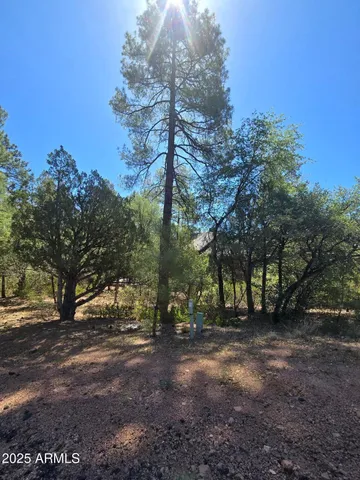 $60,000 | 2511 East Pine Island Lane, Unit 39, Payson, AZ 85541